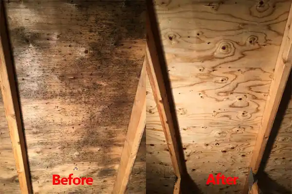 water damage restoration service Corriganville